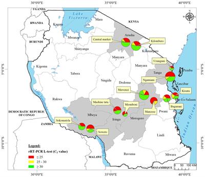 Virulent Newcastle disease virus genotypes V.3, VII.2, and XIII.1.1 and their coinfections with infectious bronchitis viruses and other avian pathogens in backyard chickens in Tanzania